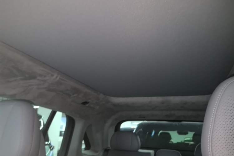 Used Zeekr MIX 2025 Intelligent Driving Version Headliner