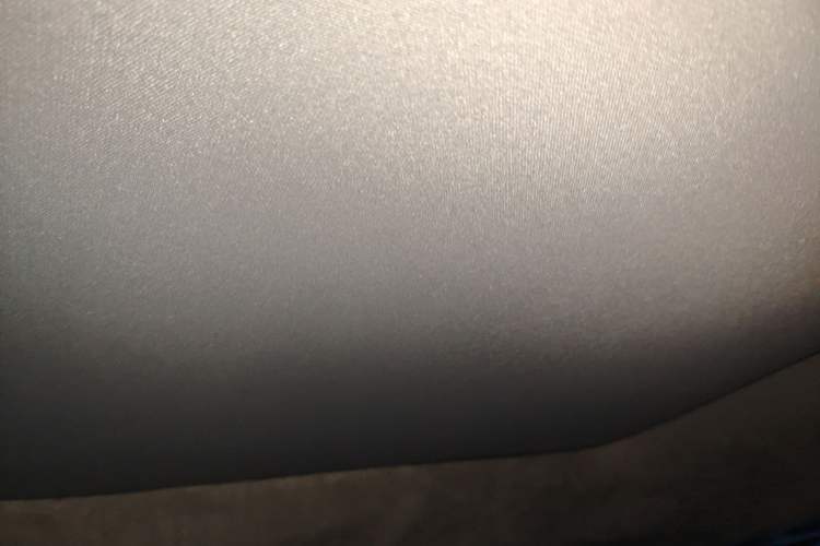 Used Zeekr MIX 2025 Long-Range Intelligent Driving Edition Headliner
