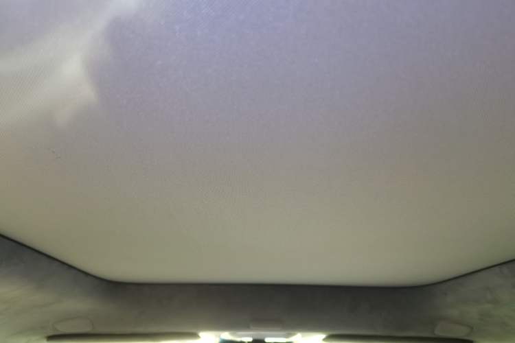Used Zeekr MIX 2025 Intelligent Driving Version Headliner