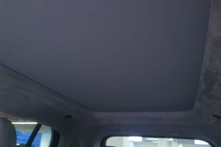 Used Zeekr MIX 2025 Intelligent Driving Version Headliner