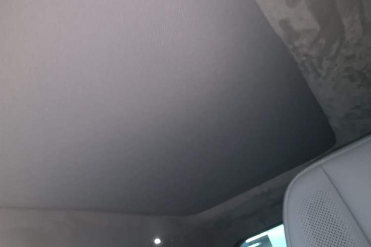 Used Zeekr MIX 2025 Intelligent Driving Version Headliner