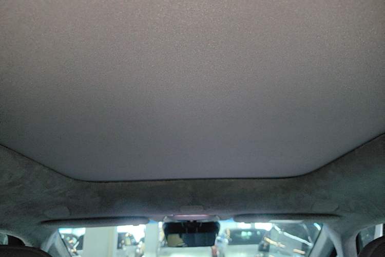 Used Zeekr MIX 2025 Intelligent Driving Version Headliner