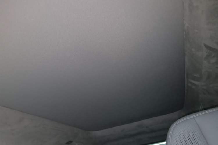 Used Zeekr MIX 2025 Intelligent Driving Version Headliner