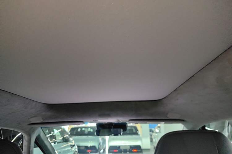 Used Zeekr MIX 2025 Intelligent Driving Version Headliner