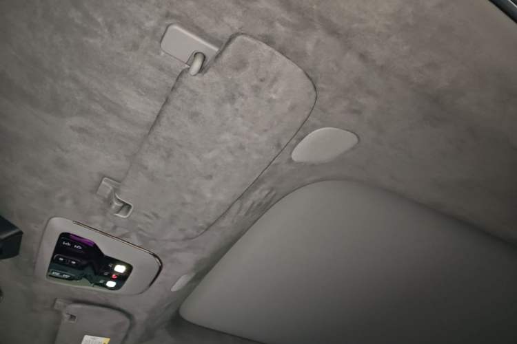 Used Zeekr MIX 2025 Intelligent Driving Version Headliner