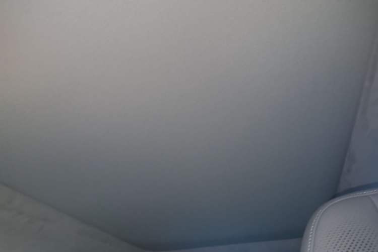 Used Zeekr MIX 2025 Intelligent Driving Version Headliner