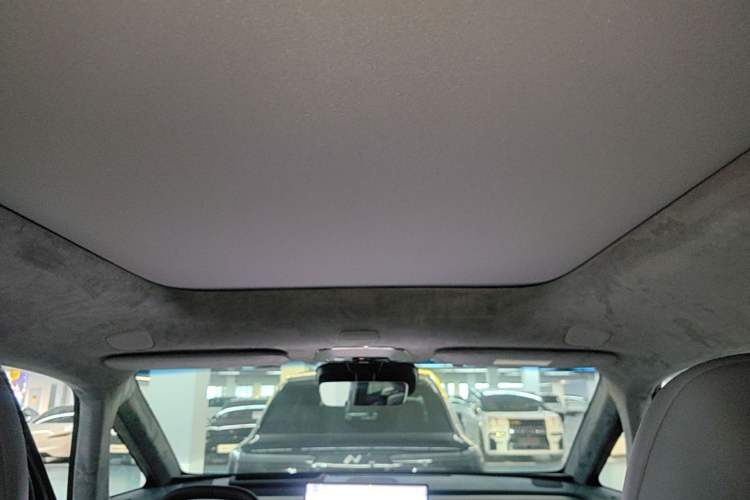 Used Zeekr MIX 2025 Intelligent Driving Version Headliner