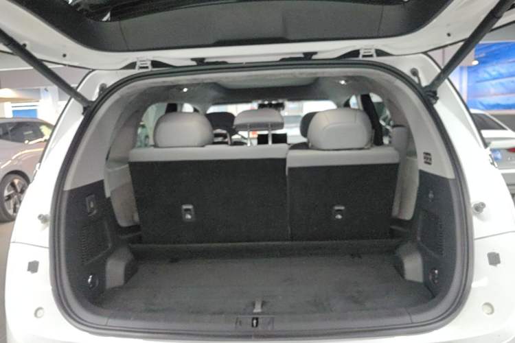 Used Zeekr MIX 2025 Intelligent Driving Version Trunk