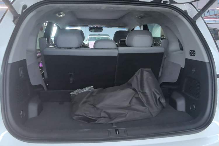 Used Zeekr MIX 2025 Intelligent Driving Version Trunk