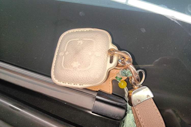Used Zeekr MIX 2025 Long-Range Intelligent Driving Edition Vehicle Key