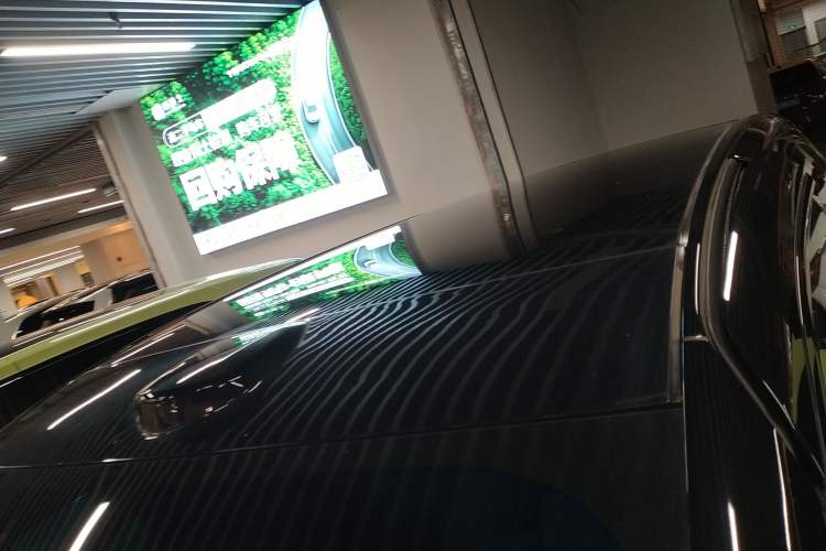 Used Zeekr MIX 2025 Long-Range Intelligent Driving Edition Roof