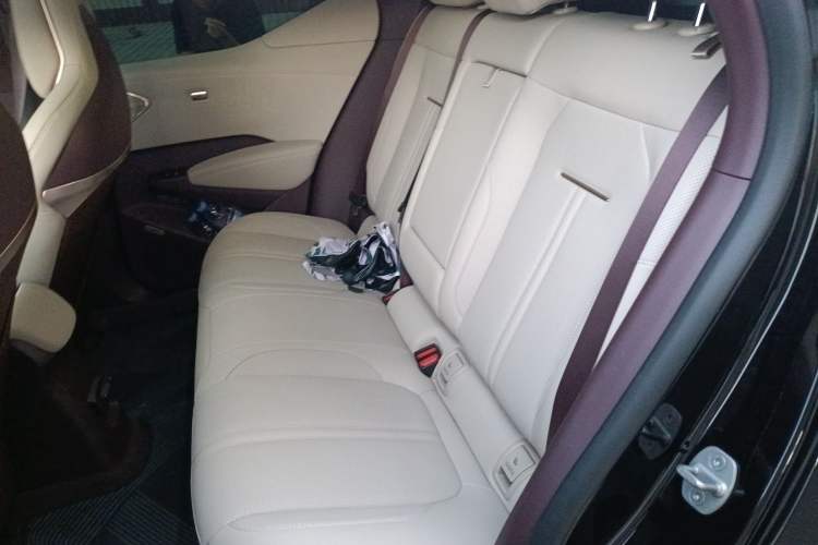 Used Zeekr X 2025 5-Seater Rear-Drive Version Left Rear Seat