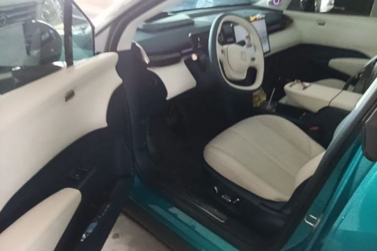 Used Zeekr X 2023 Four-Wheel Drive YOU Edition 4 Seats Driver Seat
