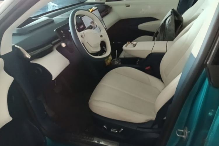 Used Zeekr X 2023 Four-Wheel Drive YOU Edition 4 Seats Left Front Seat