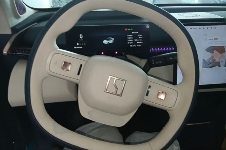 Used Zeekr X 2023 Four-Wheel Drive YOU Edition 4 Seats Steering Wheel