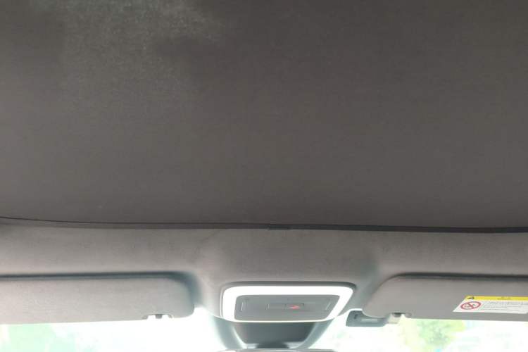Used Zeekr X 2023 Rear-Drive YOU Edition 4 Seats Headliner