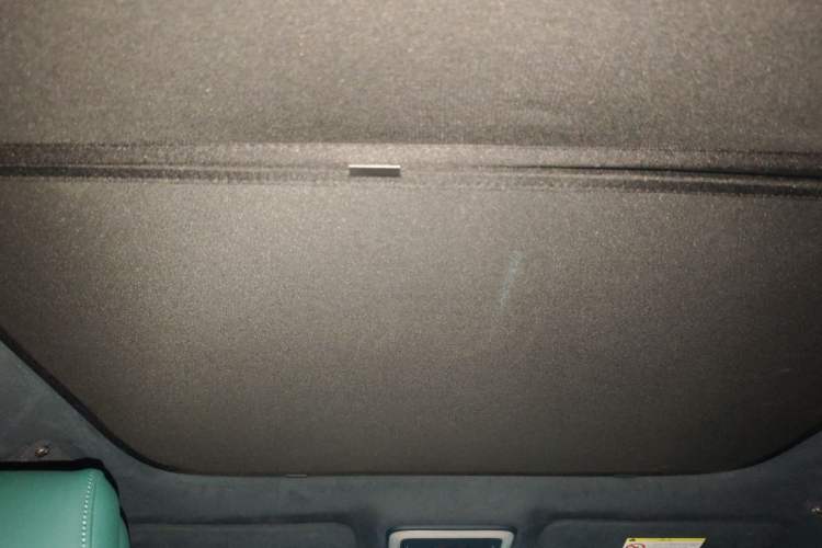 Used Zeekr X 2023 Rear-Drive YOU Edition 4 Seats Headliner