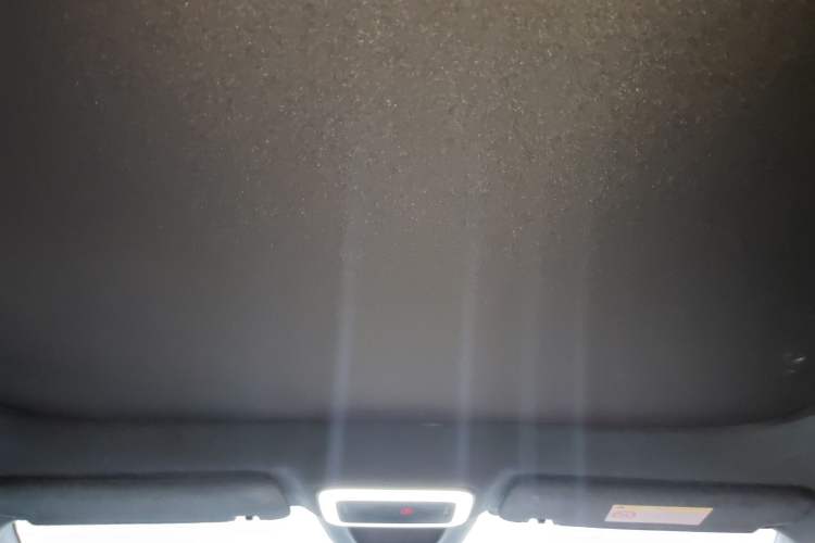 Used Zeekr X 2023 Rear-Drive YOU Edition 4 Seats Headliner