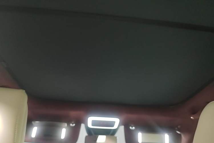 Used Zeekr X 2023 Rear-Drive YOU Edition 4 Seats Headliner