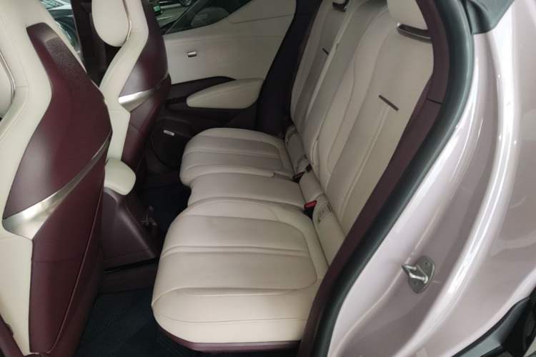 Used Zeekr X 2023 Four-Wheel Drive YOU Edition 4 Seats Left Rear Seat