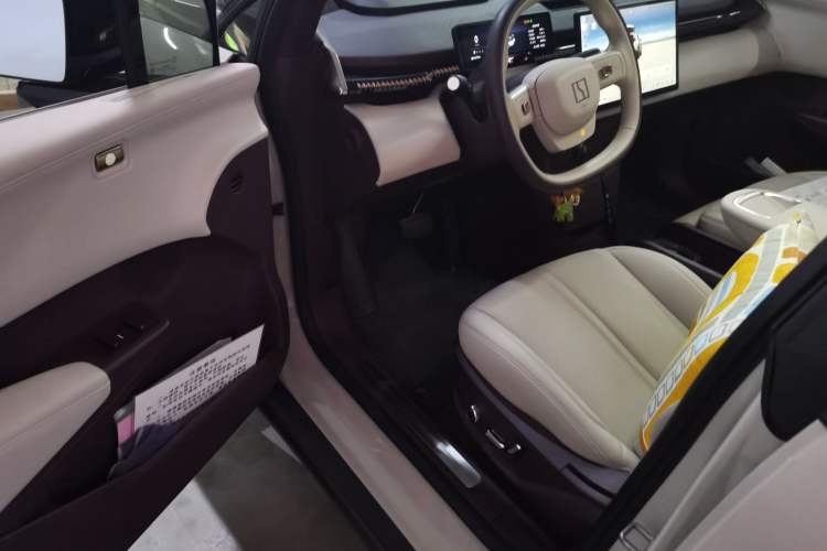 Used Zeekr X 2023 Rear-Drive YOU Edition 4 Seats Driver Seat