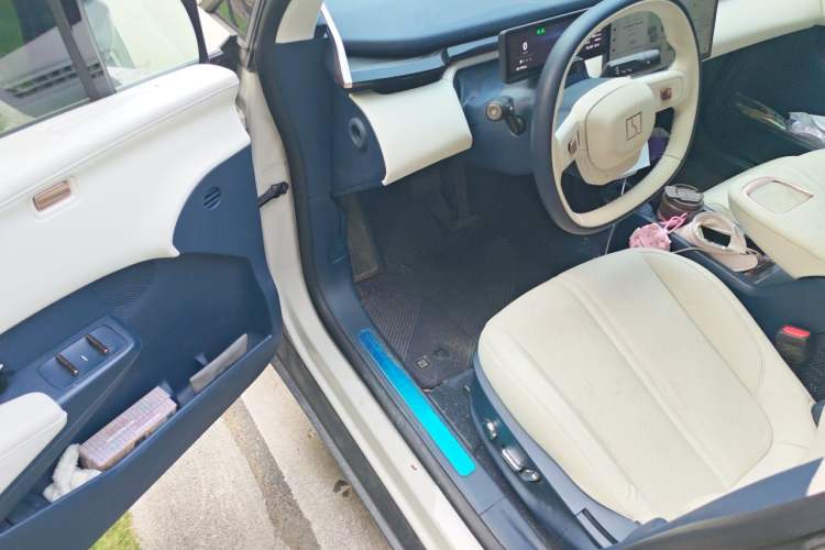 Used Zeekr X 2023 Rear-Drive YOU Edition 4 Seats Driver Seat