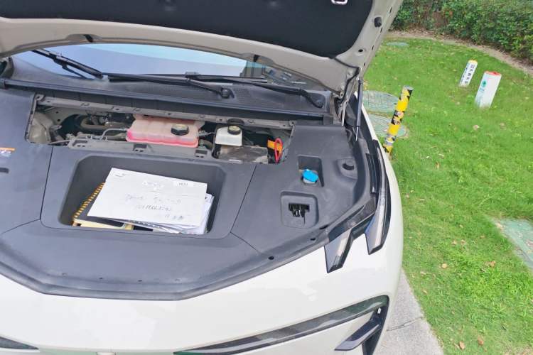 Used Zeekr X 2023 Rear-Drive YOU Edition 4 Seats Engine Bay Left