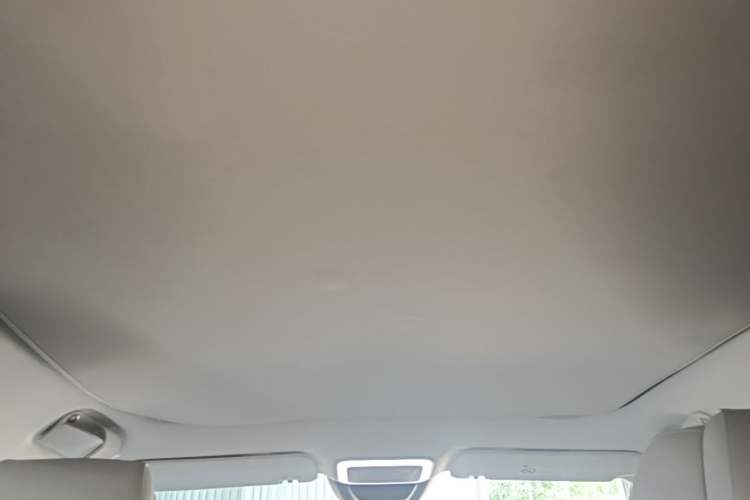 Used Zeekr X 2023 Rear-Drive YOU Edition 4 Seats Headliner