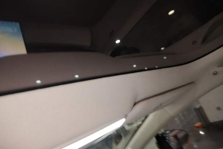 Used Zeekr X 2023 Four-Wheel Drive YOU Edition 4 Seats Headliner
