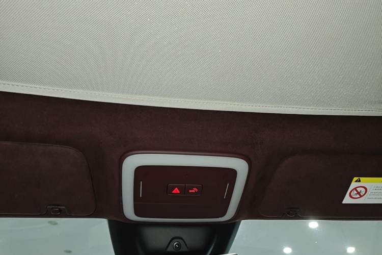 Used Zeekr X 2023 Rear-Drive YOU Edition 4 Seats Headliner