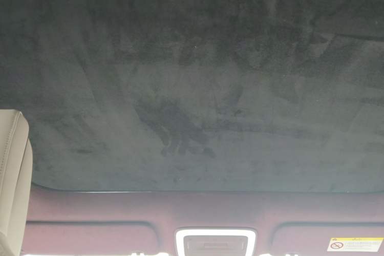 Used Zeekr X 2023 Rear-Drive YOU Edition 4 Seats Headliner
