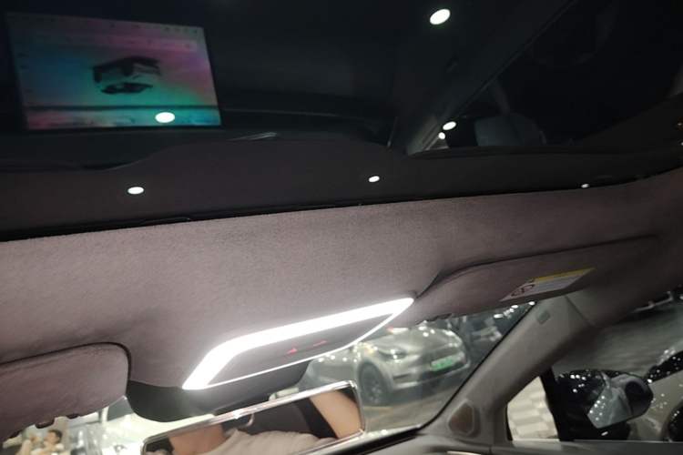 Used Zeekr X 2023 Rear-Drive YOU Edition 4 Seats Headliner