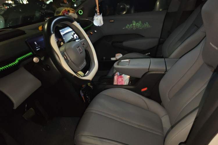 Used Zeekr X 2023 Rear-Drive YOU Edition 4 Seats Left Front Seat