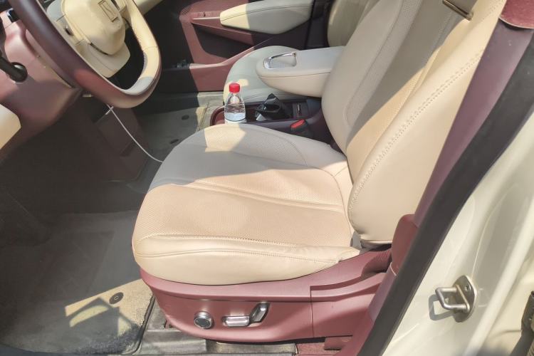Used Zeekr X 2023 Rear-Drive ME Version 5 Seats Left Front Seat