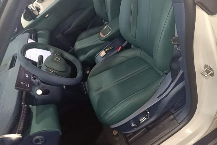 Used Zeekr X 2023 Rear-Drive ME Version 5 Seats Left Front Seat