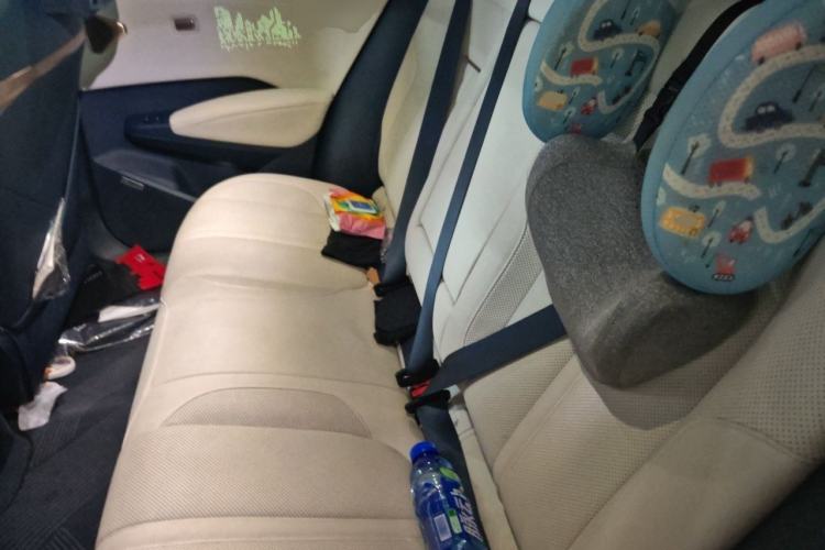Used Zeekr X 2023 Four-Wheel-Drive YOU Edition 5 Seats Left Rear Seat