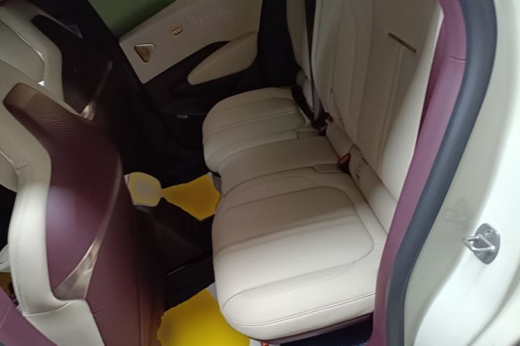 Used Zeekr X 2023 Rear-Drive YOU Edition 4 Seats Left Rear Seat