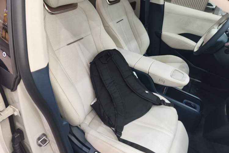 Used Zeekr X 2023 Rear-Drive YOU Edition 4 Seats Right Front Seat