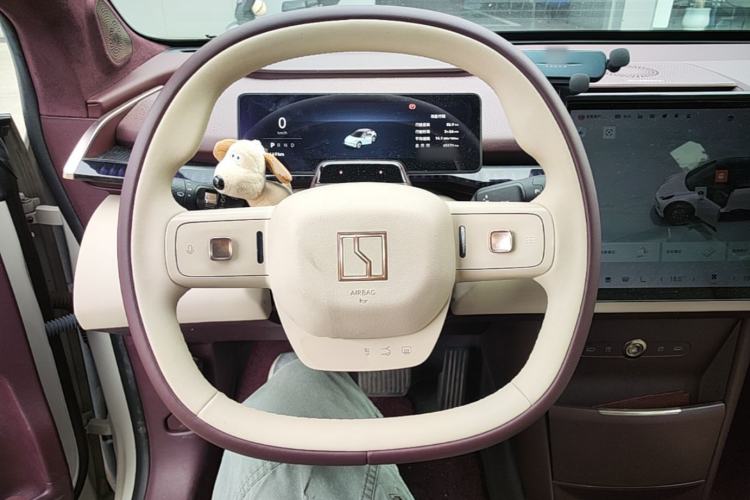 Used Zeekr X 2023 Rear-Drive YOU Edition 4 Seats Steering Wheel