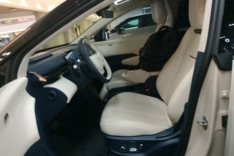 Used Zeekr X 2023 Rear-Drive YOU Edition 4 Seats Left Front Seat