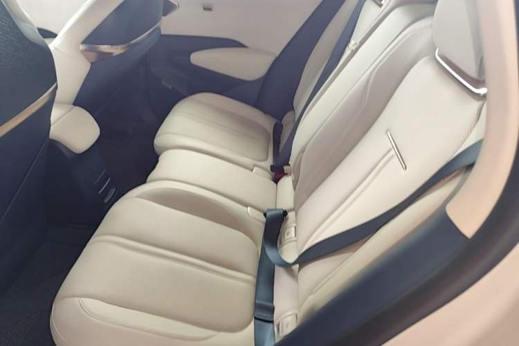 Used Zeekr X 2023 Four-Wheel Drive YOU Edition 4 Seats Left Rear Seat