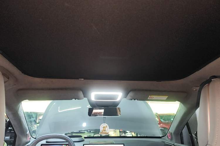 Used Zeekr X 2024 Four-Seat Rear-Drive Version Headliner