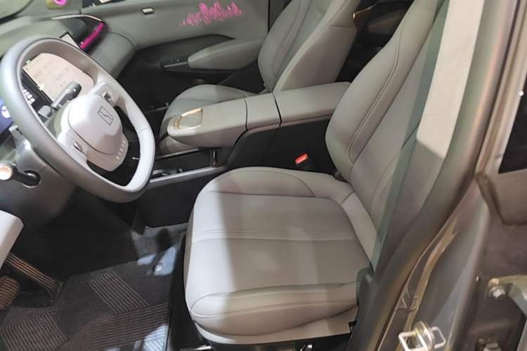 Used Zeekr X 2024 Four-Seat Rear-Drive Version Left Front Seat