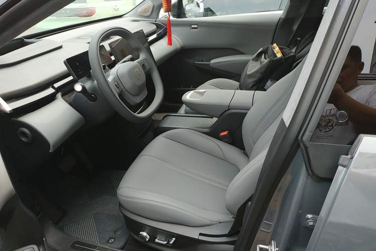 Used Zeekr X 2024 Four-Seat Rear-Drive Version Left Front Seat