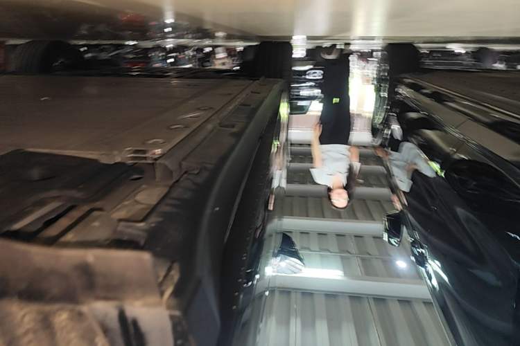 Used Zeekr X 2024 Four-Seat Rear-Drive Version Left Side Sill