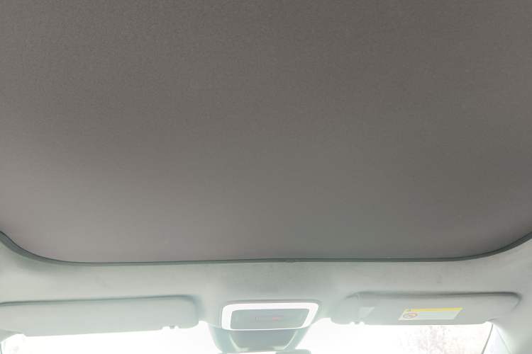 Used Zeekr X 2024 Four-Seat Rear-Drive Version Headliner