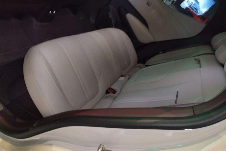 Used Zeekr X 2024 Five-Seater Four-Wheel Drive Left Rear Seat