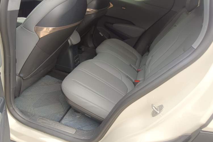Used Zeekr X 2024 Four-Seat Rear-Drive Version Left Rear Seat