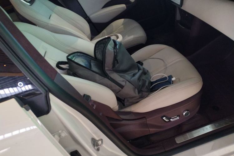 Used Zeekr X 2024 Five-Seater Four-Wheel Drive Right Front Seat