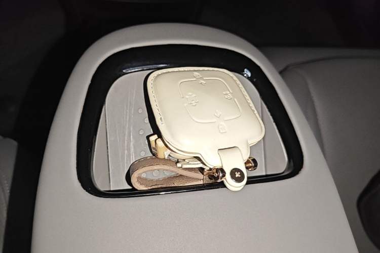 Used Zeekr X 2024 Four-Seat Rear-Drive Version Vehicle Key